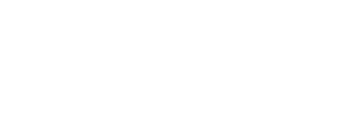 StewSkim